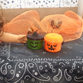 Halloween Doll Food Bundle - 18" Doll Miniatures | 1:3 Scale